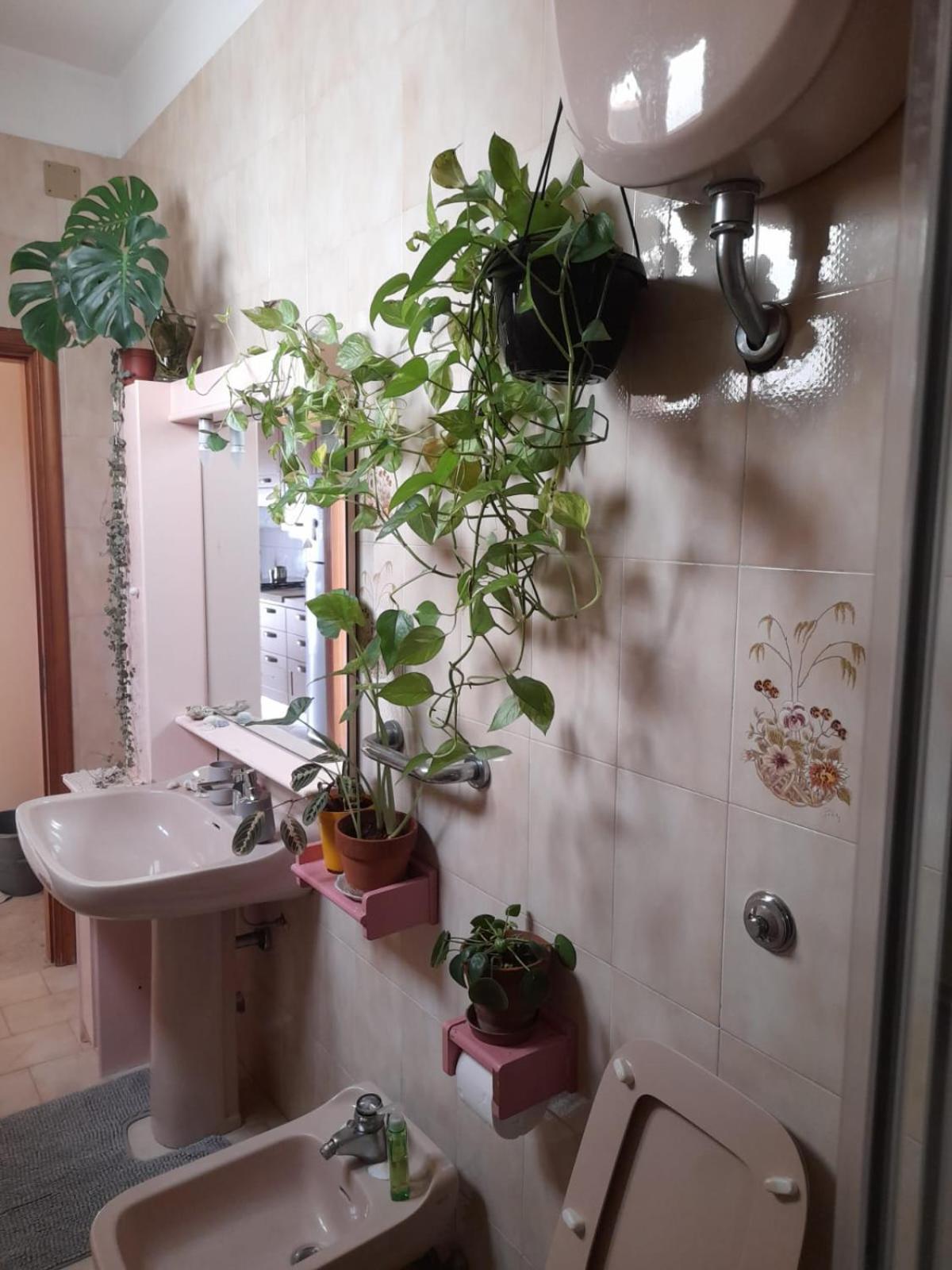 بولينيانو آ ماري B&B Famigliare Arcadia Polignano المظهر الخارجي الصورة